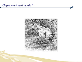 O que você está vendo? 