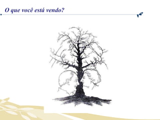 O que você está vendo? 