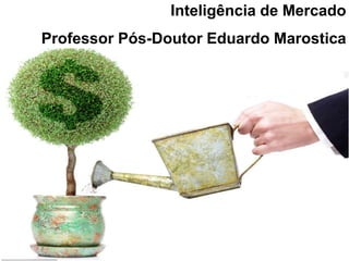 Inteligência de Mercado
Professor Pós-Doutor Eduardo Marostica
 