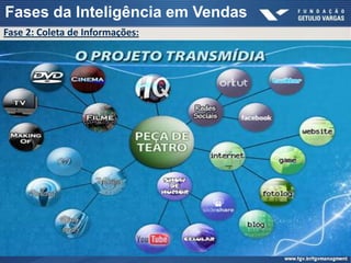 Fases da Inteligência em Vendas
Fase 2: Coleta de Informações:
 