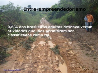 Intra-empreendedorismo 0,6% dos brasileiros adultos desenvolveram atividades que lhes permitiram ser classificados como tal Fonte: Pesquisa GEM2008 