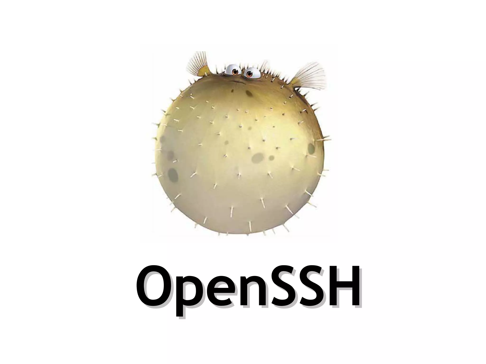OpenSSH
 