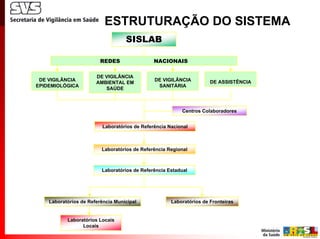 ESTRUTURAÇÃO DO SISTEMA
                                   SISLAB

                         REDES                 NACIONAIS

                       DE VIGILÂNCIA
 DE VIGILÂNCIA                                 DE VIGILÂNCIA          DE ASSISTÊNCIA
                       AMBIENTAL EM
EPIDEMIOLÓGICA                                  SANITÁRIA
                          SAÚDE



                                                          Centros Colaboradores


                          Laboratórios de Referência Nacional



                         Laboratórios de Referência Regional



                         Laboratórios de Referência Estadual




    Laboratórios de Referência Municipal              Laboratórios de Fronteiras


           Laboratórios Locais
                 Locais
 