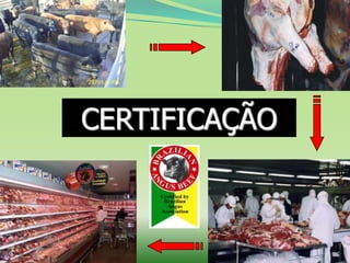 CERTIFICAÇÃO
 