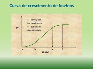 Curva de crescimento de bovinos
 