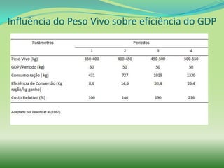 Influência do Peso Vivo sobre eficiência do GDP
 