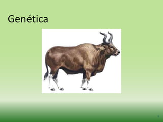 Genética




           5
 