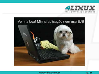 Vei, na boa! Minha aplicação nem usa EJB




             www.4linux.com.br             10 / 44
 