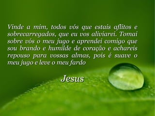 Vinde a mim, todos vós que estais aflitos eVinde a mim, todos vós que estais aflitos e
sobrecarregados, que eu vos aliviarei. Tomaisobrecarregados, que eu vos aliviarei. Tomai
sobre vós o meu jugo e aprendei comigo quesobre vós o meu jugo e aprendei comigo que
sou brando e humilde de coração e achareissou brando e humilde de coração e achareis
repouso para vossas almas, pois é suave orepouso para vossas almas, pois é suave o
meu jugo e leve o meu fardomeu jugo e leve o meu fardo
JesusJesus
 