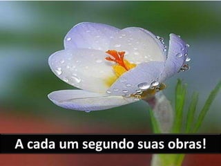 A cada um segundo suas obras!
 