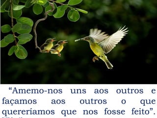 “Amemo-nos uns aos outros e
façamos aos outros o que
quereríamos que nos fosse feito”.
 