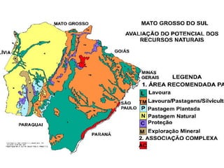 S ophus – Consultoria e Assessoria
              Ltda
 