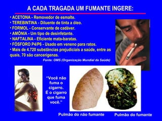 A CADA TRAGADA UM FUMANTE INGERE:
• ACETONA - Removedor de esmalte.
• TEREBINTINA - Diluente de tinta a óleo.
• FORMOL - Conservante de cadáver.
• AMÔNIA - Um tipo de desinfetante.
• NAFTALINA - Eficiente mata-baratas.
• FÓSFORO P4/P6 - Usado em veneno para ratos.
• Mais de 4.720 substâncias prejudiciais a saúde, entre as
quais, 70 são cancerígenas.
                  Fonte: OMS (Organização Mundial da Saúde)




                    “Você não
                      fuma o
                      cigarro.
                    É o cigarro
                     que fuma
                       você.”


                           Pulmão do não fumante              Pulmão do fumante
 