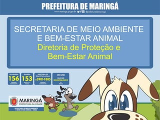 SECRETARIA DE MEIO AMBIENTE
E BEM-ESTAR ANIMAL
Diretoria de Proteção e
Bem-Estar Animal
 