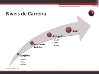 Níveis de CarreiraCopyright Lara Selem 2009
