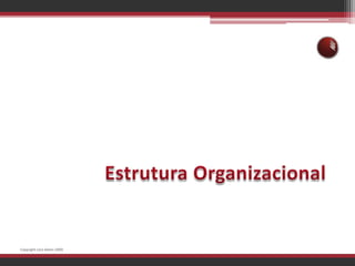 Estrutura OrganizacionalCopyright Lara Selem 2009