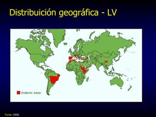 Distribuición geográfica - LV
Fonte: OMS
 
