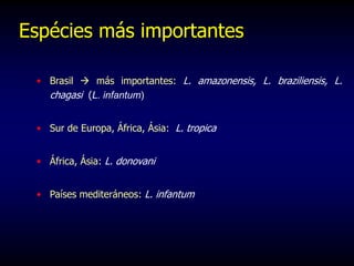 • Brasil  más importantes: L. amazonensis, L. braziliensis, L.
chagasi (L. infantum)
• Sur de Europa, África, Ásia: L. tropica
• África, Ásia: L. donovani
• Países mediteráneos: L. infantum
Espécies más importantes
 
