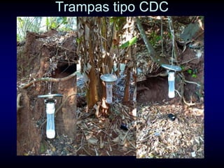 Trampas tipo CDC
 