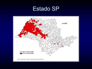 Estado SP
 