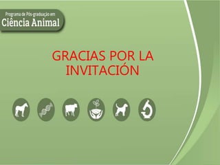 GRACIAS POR LA
INVITACIÓN
 