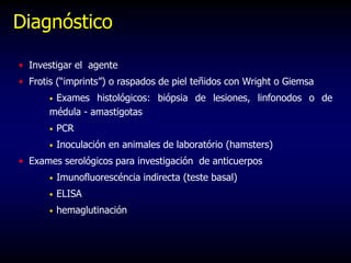 Diagnóstico
• Investigar el agente
• Frotis (“imprints”) o raspados de piel teñidos con Wright o Giemsa
• Exames histológicos: biópsia de lesiones, linfonodos o de
médula - amastigotas
• PCR
• Inoculación en animales de laboratório (hamsters)
• Exames serológicos para investigación de anticuerpos
• Imunofluorescéncia indirecta (teste basal)
• ELISA
• hemaglutinación
 