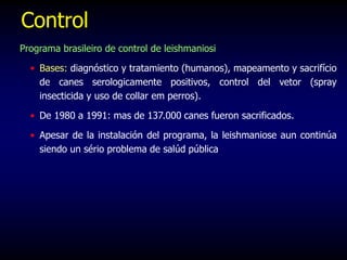 Control
Programa brasileiro de control de leishmaniosi
• Bases: diagnóstico y tratamiento (humanos), mapeamento y sacrifício
de canes serologicamente positivos, control del vetor (spray
insecticida y uso de collar em perros).
• De 1980 a 1991: mas de 137.000 canes fueron sacrificados.
• Apesar de la instalación del programa, la leishmaniose aun continúa
siendo un sério problema de salúd pública
 