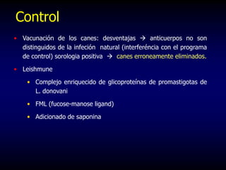 Control
• Vacunación de los canes: desventajas  anticuerpos no son
distinguidos de la infeción natural (interferéncia con el programa
de control) sorologia positiva  canes erroneamente eliminados.
• Leishmune
• Complejo enriquecido de glicoproteínas de promastigotas de
L. donovani
• FML (fucose-manose ligand)
• Adicionado de saponina
 