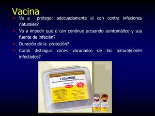 Vacina
• Va a proteger adecuadamente el can contra infeciones
naturales?
• Va a impedir que o can continue actuando asintomático y sea
fuente de infeción?
• Duración de la proteción?
• Como distinguir canes vacunados de los naturalmente
infectados?
 