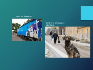Atención Veterinaria
Control de animales en
abandono
 