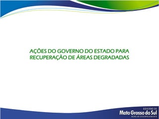AÇÕES DO GOVERNO DO ESTADO PARA
RECUPERAÇÃO DE ÁREAS DEGRADADAS
 