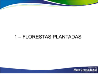 1 – FLORESTAS PLANTADAS
 