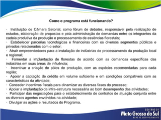Como o programa está funcionando?

· Instituição de Câmara Setorial, como fórum de debates, responsável pela realização de
estudos, elaboração de propostas e pela administração de demandas entre os integrantes da
cadeia produtiva da produção e processamento de essências florestais;
· Estabelecer parcerias tecnológicas e financeiras com os diversos segmentos públicos e
privados relacionados com o setor;
· Atrair empreendedores para a instalação de indústrias de processamento da produção local
e regional;
· Fomentar a implantação de florestas de acordo com as demandas específicas das
indústrias em suas áreas de influência;
· Incentivar a criação de pólos de produção, com as espécies recomendadas para cada
região;
· Apoiar a captação de crédito em volume suficiente e em condições compatíveis com as
características da atividade;
· Conceder incentivos fiscais para dinamizar as diversas fases do processo;
· Apoiar a implantação da infra-estrutura necessária ao bom desempenho das atividades;
· Participar das negociações para o estabelecimento de contratos de atuação conjunta entre
os diversos agentes envolvidos na atividade;
· Divulgar as ações e resultados do Programa.
 