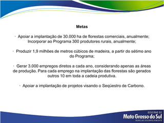 Metas

 · Apoiar a implantação de 30.000 ha de florestas comerciais, anualmente;
        Incorporar ao Programa 300 produtores rurais, anualmente;

· Produzir 1,9 milhões de metros cúbicos de madeira, a partir do sétimo ano
                              do Programa;

· Gerar 3.000 empregos diretos a cada ano, considerando apenas as áreas
de produção. Para cada emprego na implantação das florestas são gerados
                  outros 10 em toda a cadeia produtiva.

   · Apoiar a implantação de projetos visando o Seqüestro de Carbono.
 