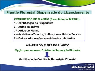 Plantio Florestal Dispensado do Licenciamento

    COMUNICADO DE PLANTIO (formulário do IMASUL)
    1 - Identificação do Proponente
    2 - Dados do Imóvel
    3 - Dados do Plantio
    4 – Assistência/Orientação/Responsabilidade Técnica
    5 – Outras Informações consideradas relevantes

             A PARTIR DO 3º MÊS DO PLANTIO
    Opção para requerer Crédito de Reposição Florestal


       Certificado de Crédito de Reposição Florestal
 