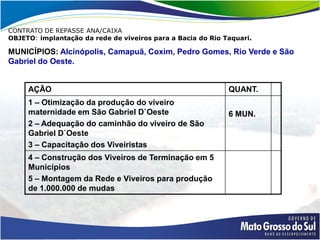 CONTRATO DE REPASSE ANA/CAIXA
OBJETO: implantação da rede de viveiros para a Bacia do Rio Taquari.

MUNICÍPIOS: Alcinópolis, Camapuã, Coxim, Pedro Gomes, Rio Verde e São
Gabriel do Oeste.


     AÇÃO                                                    QUANT.
     1 – Otimização da produção do viveiro
     maternidade em São Gabriel D`Oeste                      6 MUN.
     2 – Adequação do caminhão do viveiro de São
     Gabriel D`Oeste
     3 – Capacitaçâo dos Viveiristas
     4 – Construção dos Viveiros de Terminação em 5
     Municípios
     5 – Montagem da Rede e Viveiros para produção
     de 1.000.000 de mudas
 