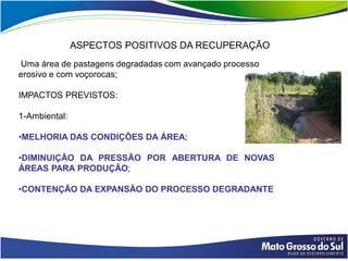 ASPECTOS POSITIVOS DA RECUPERAÇÃO
Uma área de pastagens degradadas com avançado processo
erosivo e com voçorocas;

IMPACTOS PREVISTOS:

1-Ambiental:

•MELHORIA DAS CONDIÇÕES DA ÁREA;

•DIMINUIÇÃO DA PRESSÃO POR ABERTURA DE NOVAS
ÁREAS PARA PRODUÇÃO;

•CONTENÇÃO DA EXPANSÃO DO PROCESSO DEGRADANTE
 