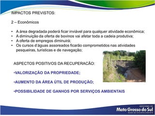 IMPACTOS PREVISTOS:

2 – Econômicos

•    A área degradada poderá ficar inviável para qualquer atividade econômica;
•    A diminuição da oferta de bovinos vai afetar toda a cadeia produtiva;
•    A oferta de empregos diminuirá;
•    Os cursos d’águas assoreados ficarão comprometidos nas atividades
     pesqueiras, turísticas e de navegação;


    ASPECTOS POSITIVOS DA RECUPERACÃO:

    •VALORIZAÇÃO DA PROPRIEDADE;

    •AUMENTO DA ÁREA ÚTIL DE PRODUÇÃO;

    •POSSIBILIDADE DE GANHOS POR SERVIÇOS AMBIENTAIS
 