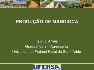 PRODUÇÃO DE MANDIOCA
Ítalo G. Arrais
Graduando em Agronomia
Universidade Federal Rural do Semi-Árido
 