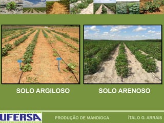 SOLO ARGILOSO SOLO ARENOSO
 