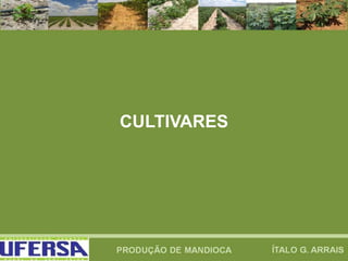 CULTIVARES
 