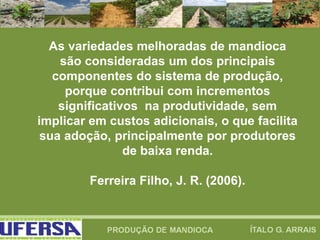 As variedades melhoradas de mandioca
são consideradas um dos principais
componentes do sistema de produção,
porque contribui com incrementos
significativos na produtividade, sem
implicar em custos adicionais, o que facilita
sua adoção, principalmente por produtores
de baixa renda.
Ferreira Filho, J. R. (2006).
 