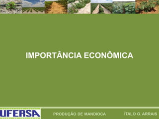 IMPORTÂNCIA ECONÔMICA
 