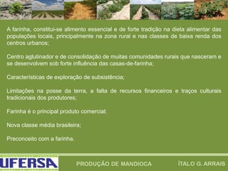 A farinha, constitui-se alimento essencial e de forte tradição na dieta alimentar das
populações locais, principalmente na zona rural e nas classes de baixa renda dos
centros urbanos;
Centro aglutinador e de consolidação de muitas comunidades rurais que nasceram e
se desenvolvem sob forte influência das casas-de-farinha;
Características de exploração de subsistência;
Limitações na posse da terra, a falta de recursos financeiros e traços culturais
tradicionais dos produtores;
Farinha é o principal produto comercial;
Nova classe média brasileira;
Preconceito com a farinha.
 