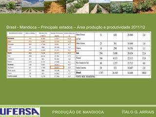 Brasil - Mandioca – Principais estados – Área produção e produtividade 2011/12
 