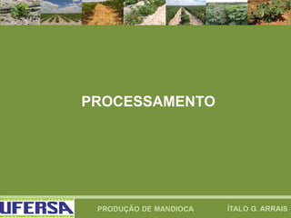 PROCESSAMENTO
 