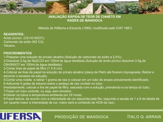 REAGENTES:
Ácido pícrico (C6 H3 N3O7);
Carbonato de sódio (N2 C3);
Tolueno.
PROCRDIMENTOS
1-Preparar uma solução de pricato alcalino (Solução de carbonato de sódio a 2,5%);
2-Dissolver 2,5g de Na2CO3 em 100ml de água destilada (Solução de ácido pícrico dissolver 0.5g de
C6H3N3O7 em 100ml de água destilada);
3-Cortar tiras de papel de filtro (1 X 6 cm);
4-Colocar as tiras de papel na solução de pricato alcalino (placa de Petri) até ficarem impregnada. Retirar e
escorrer o excesso da solução;
5-Cortar uma rodela e retirar 1 grama de raiz e colocar em um tubo de ensaio previamente identificado;
6-Adicionar 5 gotas de tolueno sobre o pedaço de raiz contido no tubo;
Imediatamente, colocar a tira de papel de filtro, saturada com a solução, prendendo-a na tampa do tubo;
7-Fazer um tubo controle, ou seja, sem amostra;
8-Deixar os tubos a temperatura ambiente por 24 horas;
9-Fazer leitura, de acordo com a intensidade de cor adquirida pela fita, seguindo a escala de 1 a 9 da tabela de
cor (quanto maior a intensidade de cor, maior será a conteúdo de HCN da raiz).
AVALIAÇÃO RÁPIDA DE TEOR DE CIANETO EM
RAÍZES DE MANDIOCA
Método de Williams e Eduards (1980), modificado pelo CIAT 1981)
 