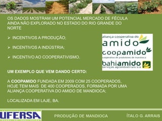 OS DADOS MOSTRAM UM POTENCIAL MERCADO DE FÉCULA
AINDA NÃO EXPLORADO NO ESTADO DO RIO GRANDE DO
NORTE
 INCENTIVOS A PRODUÇÃO;
 INCENTIVOS A INDÚSTRIA;
 INCENTIVO AO COOPERATIVISMO.
UM EXEMPLO QUE VEM DANDO CERTO:
A COOPAMIDO FUNDADA EM 2009 COM 25 COOPERADOS,
HOJE TEM MAIS DE 400 COOPERADOS, FORMADA POR UMA
ALIANÇA COOPERATIVA DO AMIDO DE MANDIOCA;
LOCALIZADA EM LAJE, BA.
 