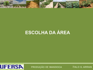 ESCOLHA DA ÁREA
 