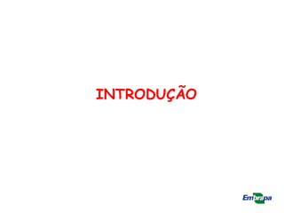 INTRODUÇÃO
 